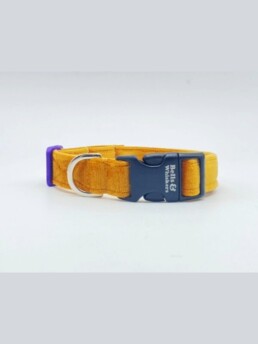 Velvet Velour Puppy Or Dog Collar in Saffron