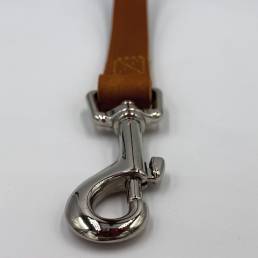 Classic tan dog lead