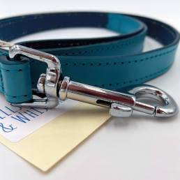 Turquoise Dog Lead