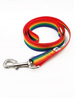 Handmade Rainbow Dog Lead