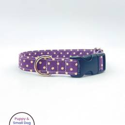 Plum Spotty Puppy or small dog Collar