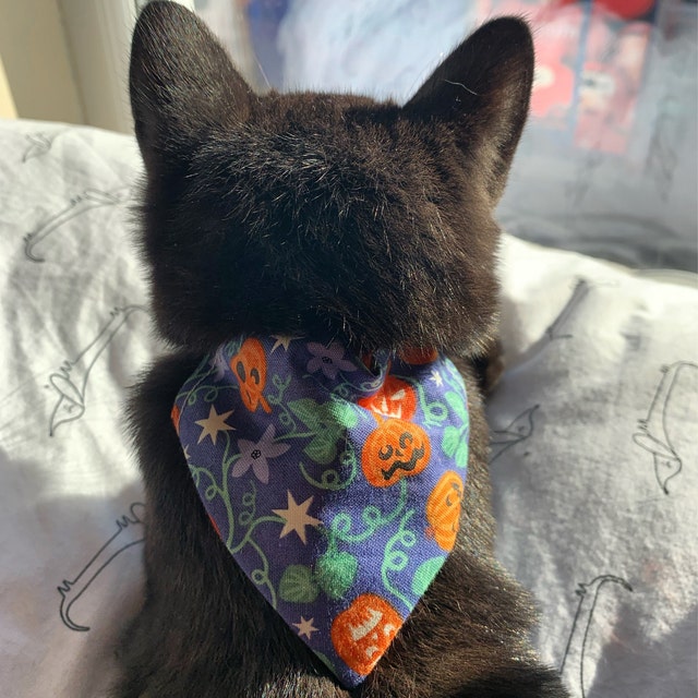 Cute Halloween Bandana By Bells & Whiskers™