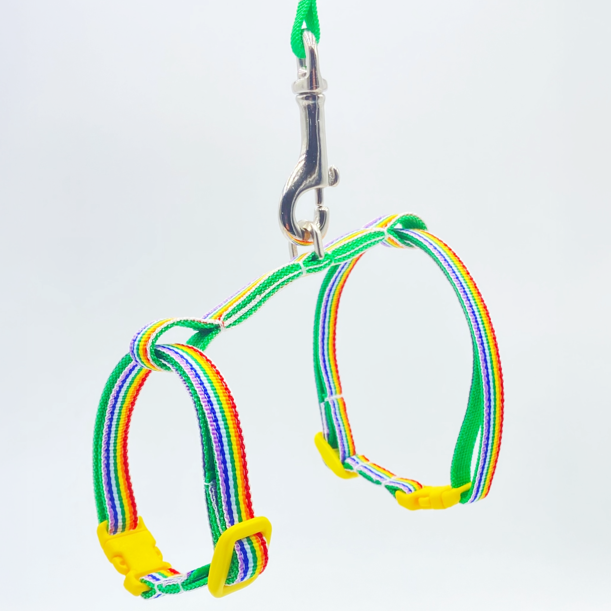 Rainbow Cat & Kitten Harness