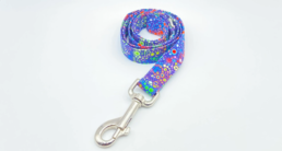 Celebration fabric cotton dog lead