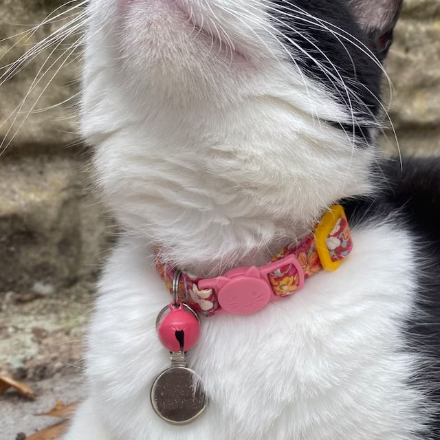 Handcrafted Cat Collar in Liberty Fabric by Bells & Whiskers