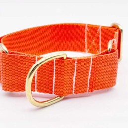 Orange Martingale Collar For Greyhounds