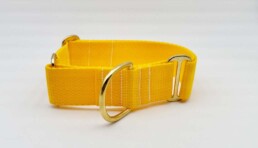 Vibrant Nylon Martingale Collar Bells & Whiskers®