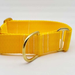 Vibrant Nylon Martingale Collar Bells & Whiskers®