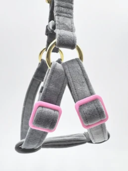 custom Small Dog Harnesses