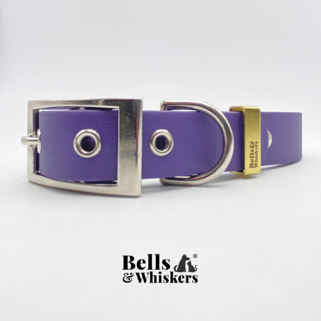 Purple Biothane Dog Collar With Solid Brass Strap Keep