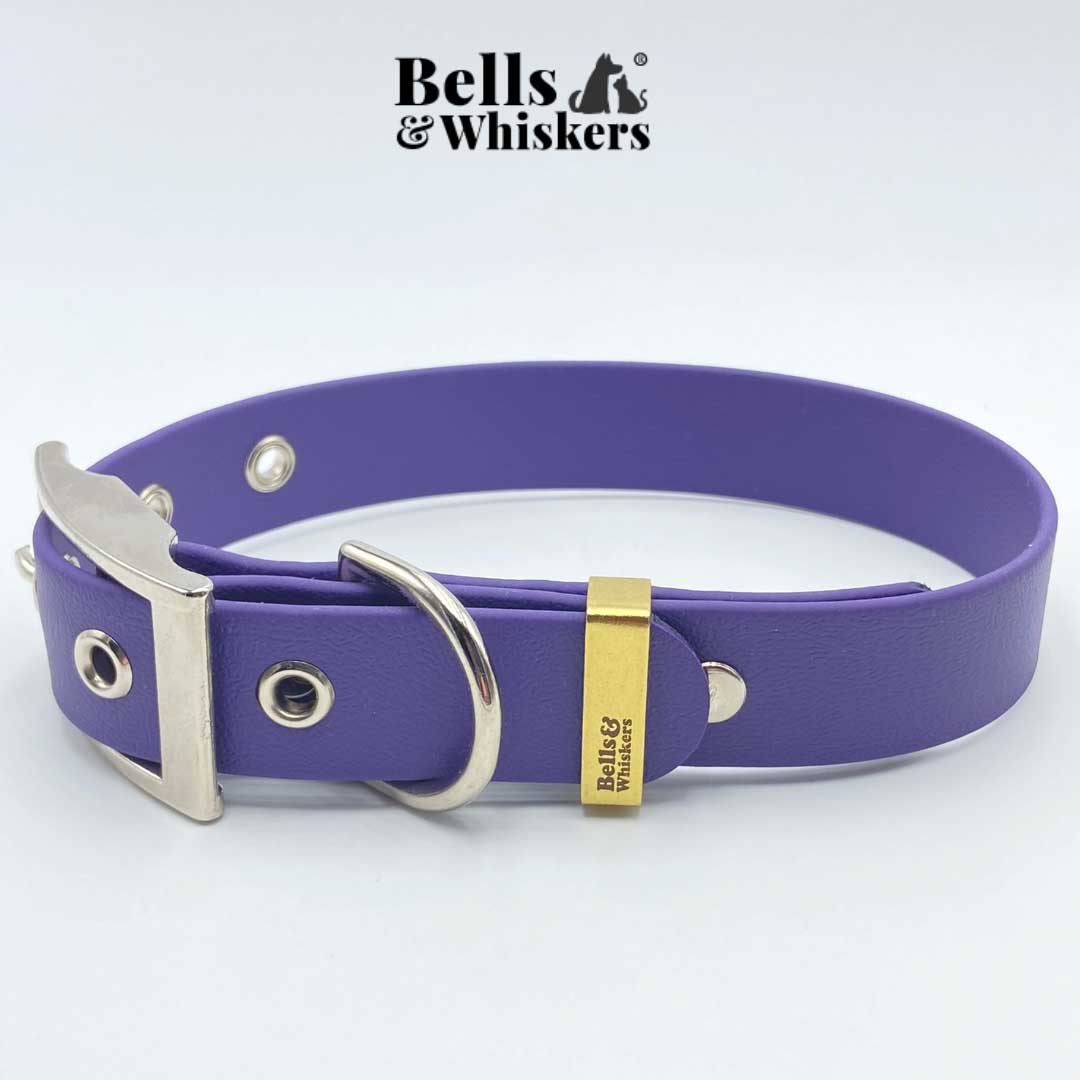 Quality Handcrafted Biothane Dog Collar