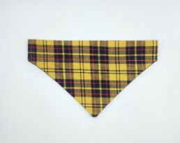 Cute Yellow Tartan Cat & Kitten Bandanas