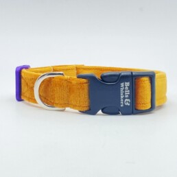 Quality handcrafted Saffron velvet dog collar