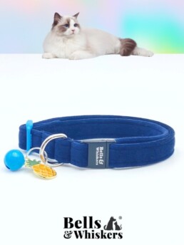 Navy Blue Super Soft Velvet Ragdoll Cat Collar