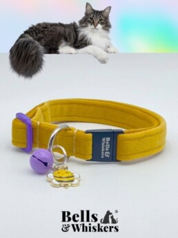 Norwegian Forest Cat Collar in Mustard Colour