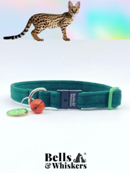 Green Velvet Large Cat Collar with Breakaway Buckle