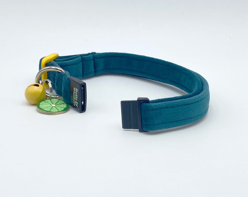 Soft, durable Teal Velvet Maine Coon Cat Collar with adjuster and breakaway buckle