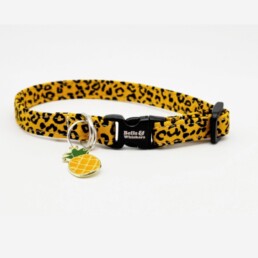 Butterscotch Leopard print Small Dog Collar with Pineapple Charm