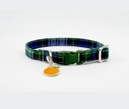 Green Blue Extra Small Dog Collar with Orange Charm