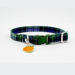 Green Blue Extra Small Dog Collar with Orange Charm