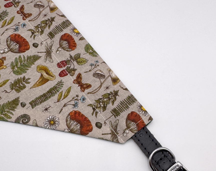Forest Mushrooms Dog Bandana