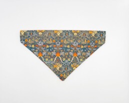 Orange Thief Cat Bandana